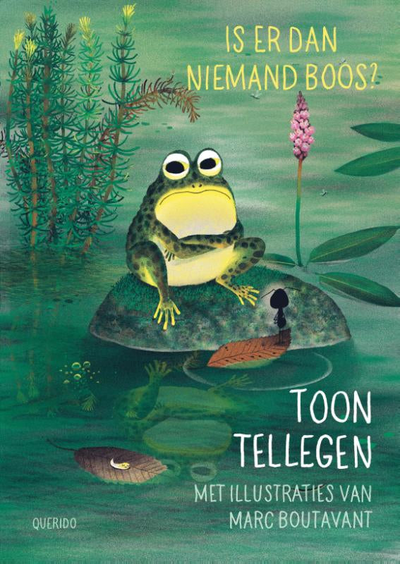 Is-er-dan-niemand-boos-boek-cover-9789045116884