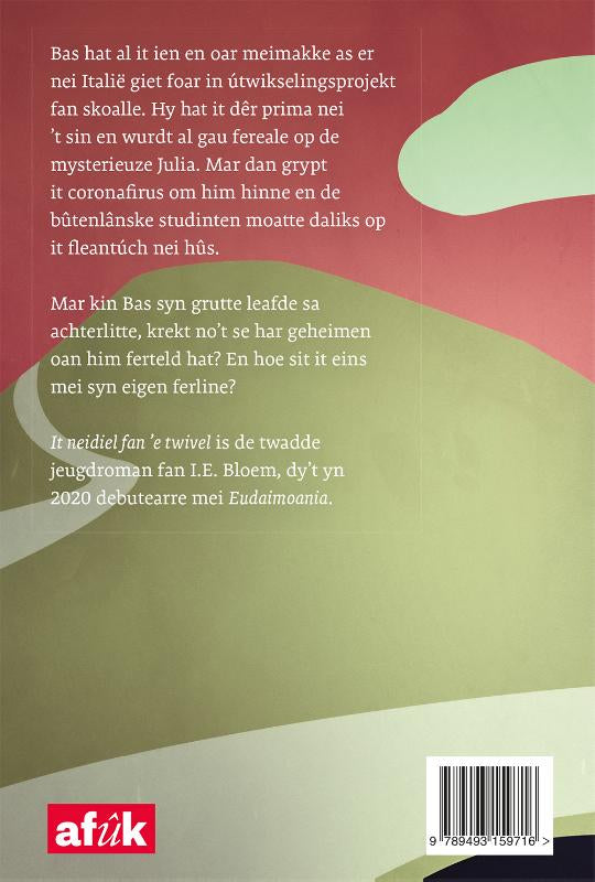 It-neidiel-fan-e-twivel-flaptekst-9789493159716