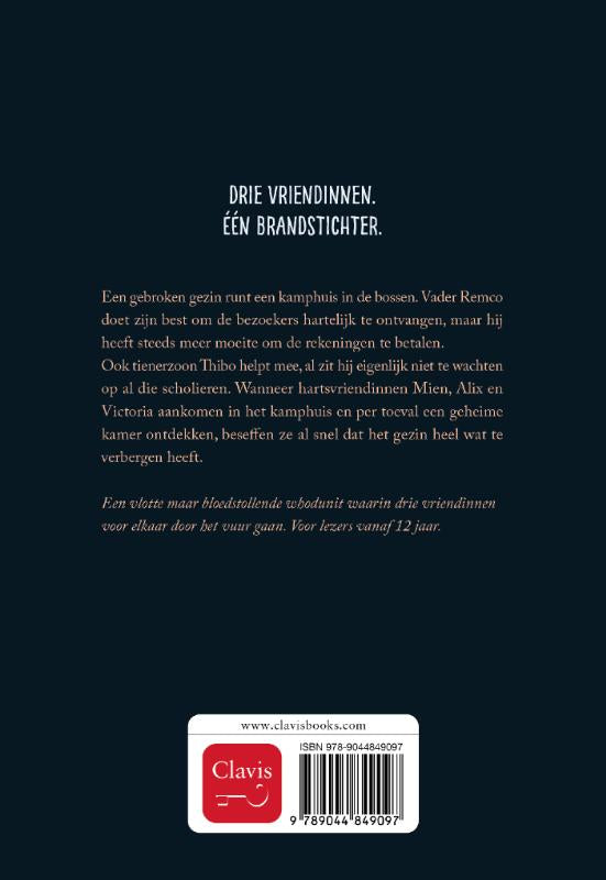 Je-speelt-met-vuur-flaptekst-9789044849097