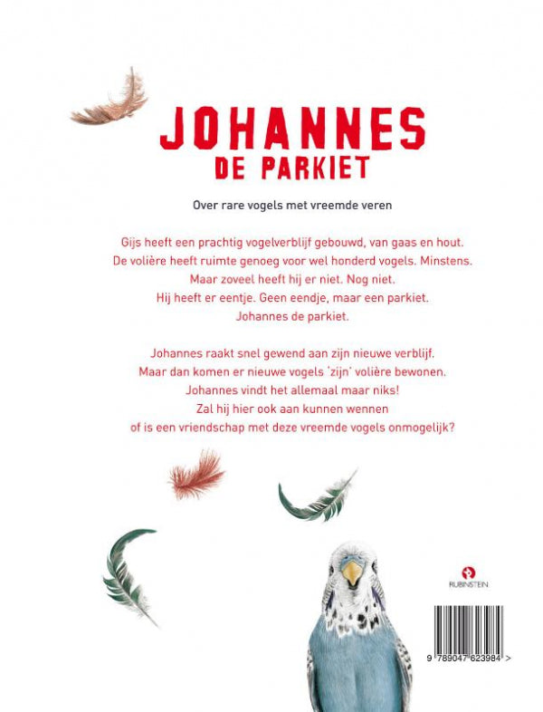 Johannes-de-parkiet-flaptekst-9789047623984