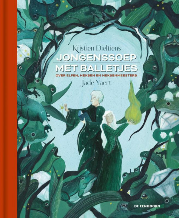Jongenssoep-met-balletjes-boek-cover-9789462918160