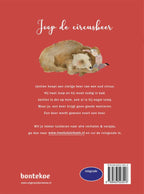 Joop-de-circusbeer-flaptekst-9789463523516
