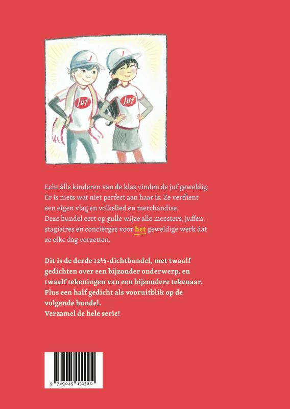 Juf-je-bent-geweldig-maar-flaptekst-9789045131320