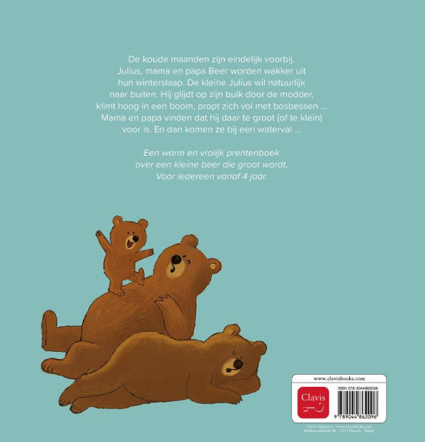 Julius-De-grote-kleine-beer-flaptekst-9789044862096