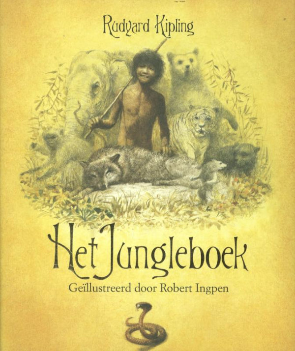 Jungleboek-boek-cover-9789059273092
