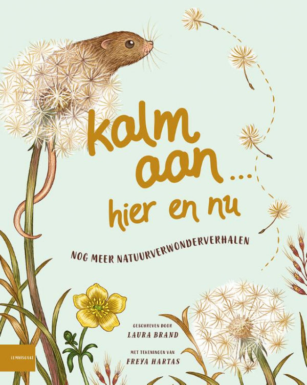 Kalm-aan-Hier-en-nu-boek-cover-9789047714392