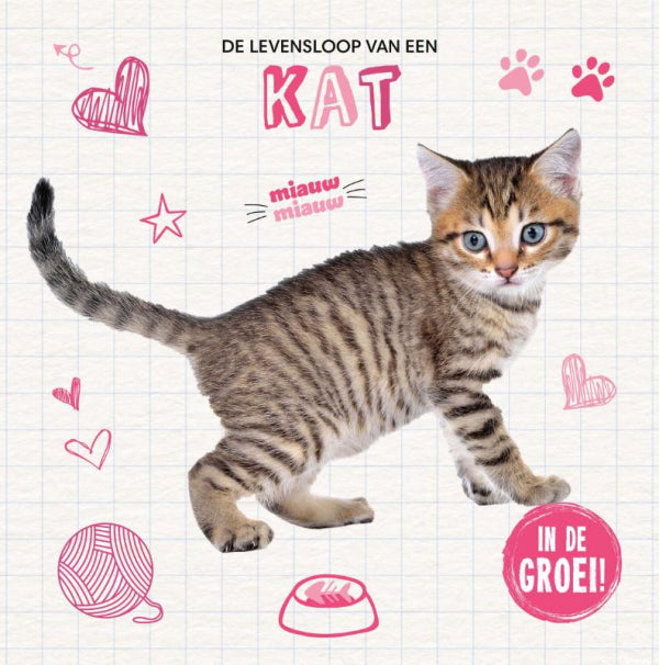 Kat-boek-cover-9789464398304