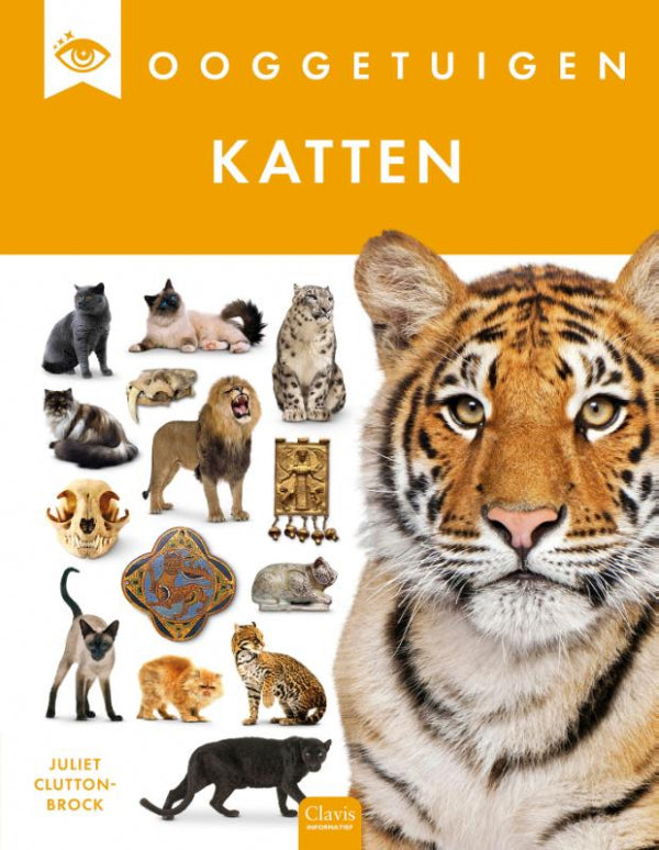 Katten-boek-cover-9789044856071