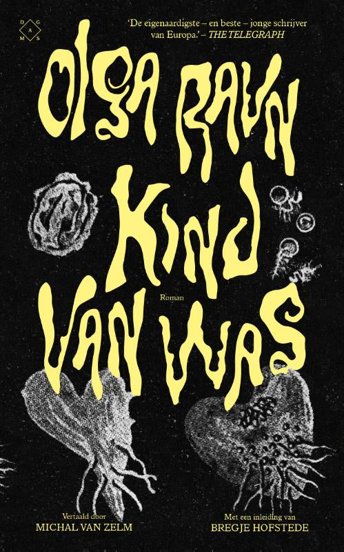 Kind-van-was-boek-cover-9789493399488