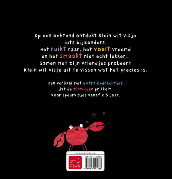 Klein-wit-visje-en-het-vreemde-ding-flaptekst-9789044843286