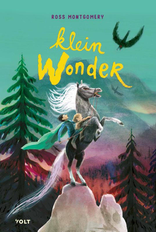 Klein-wonder-boek-cover-9789062226726