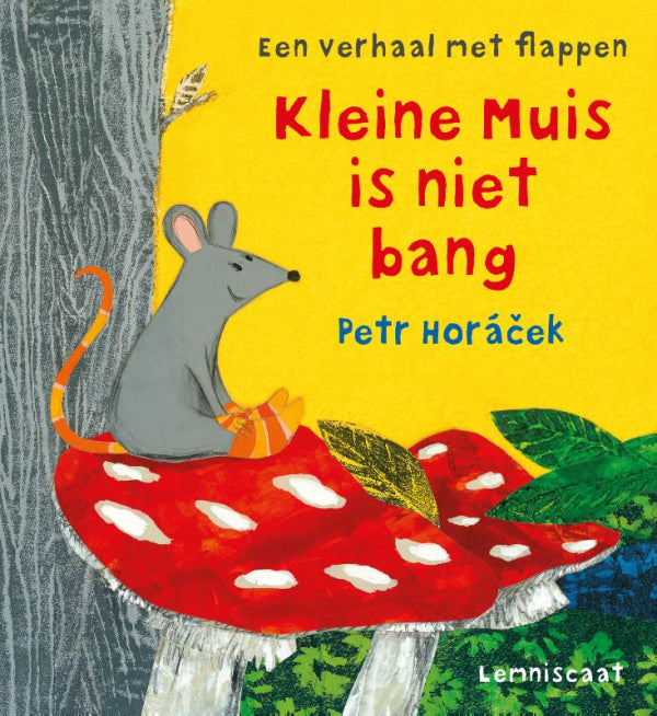 Kleine-Muis-is-niet-bang-boek-cover-9789047709800