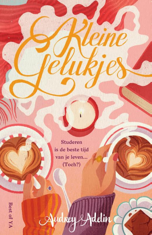 Kleine-gelukjes-boek-cover-9789000391431