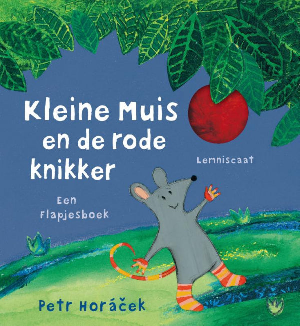 Kleine-muis-en-de-rode-knikker-boek-cover-9789047709558
