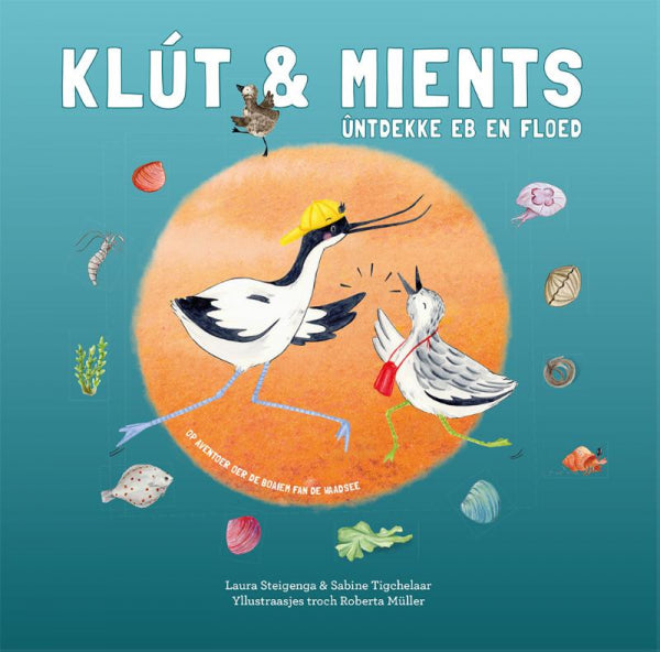Klut-and-Mients-untdekke-eb-en-floed-boek-cover-9789493318236