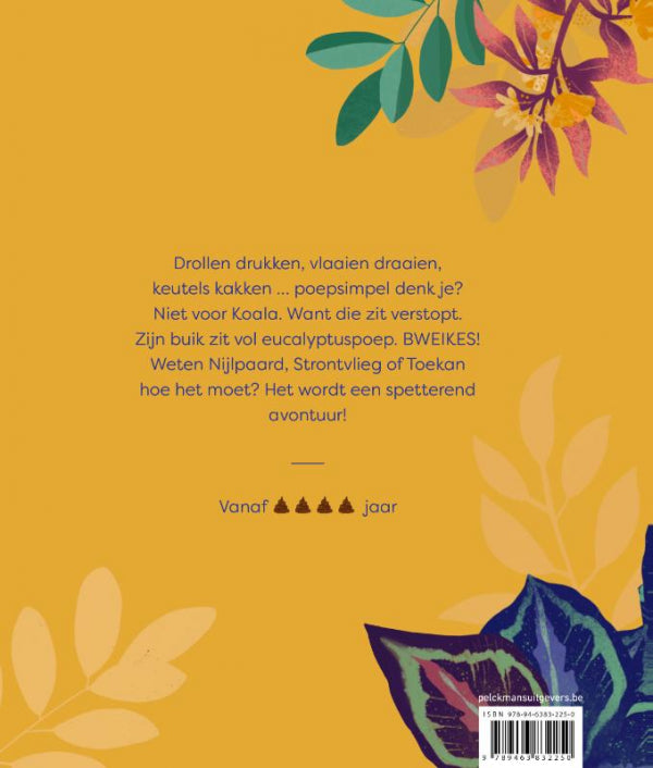Koala-zit-verstopt-flaptekst-9789463832250
