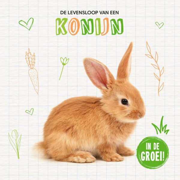 Konijn-boek-cover-9789464398281