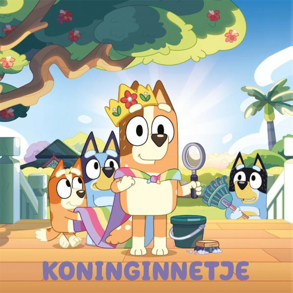Koninginnetje-boek-cover-9789047888062