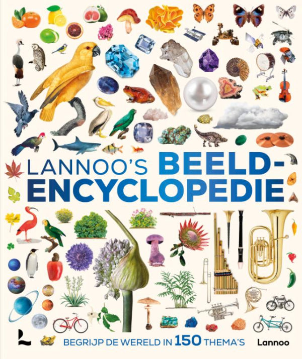 Lannoo-s-beeldencyclopedie-boek-cover-9789020965636