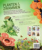 Lannoo-s-grote-encyclopedie-van-planten-en-zwammen-flaptekst-9789401497640
