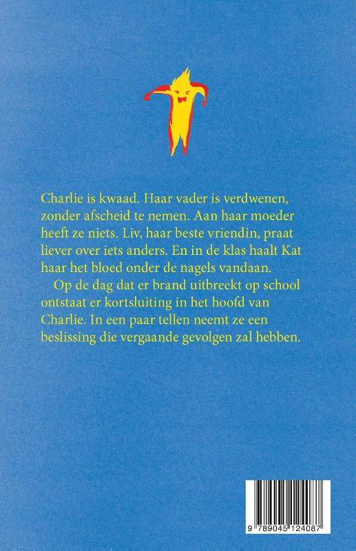 Leugenaar-leugenaar-flaptekst-9789045124087