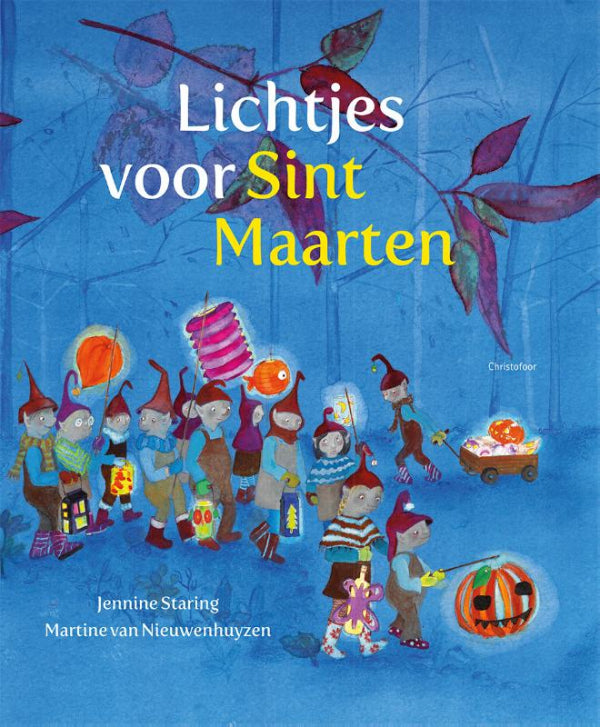 Lichtjes-voor-Sint-Maarten-boek-cover-9789060388792