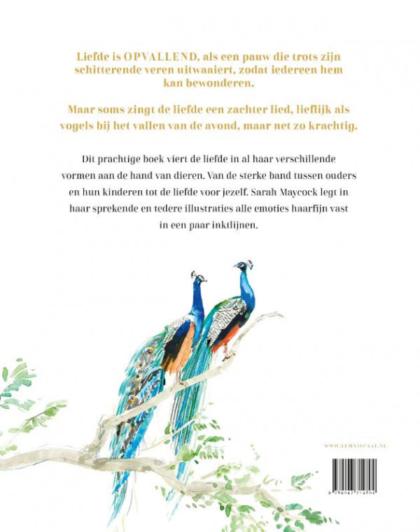 Liefde-is-flaptekst-9789047714804