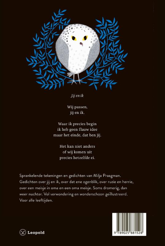 Magneetje-flaptekst-9789025881528
