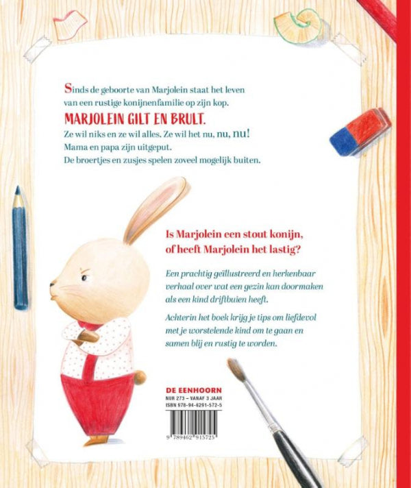 Marjolein-stout-konijn-flaptekst-9789462915725
