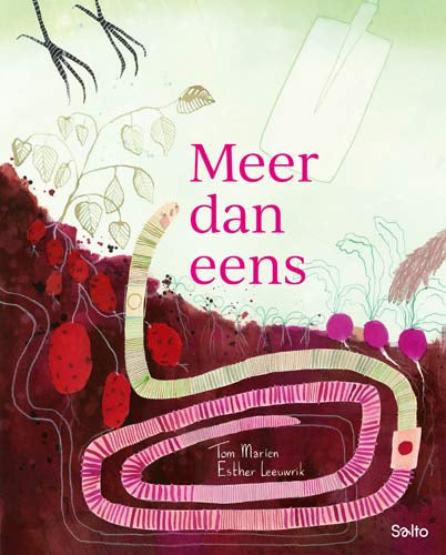 Meer-dan-eens-boek-cover-9789002284786
