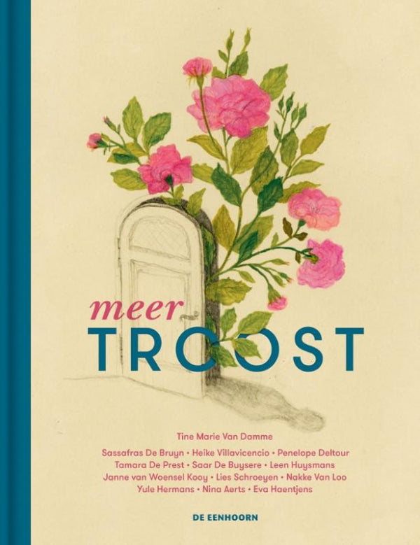 Meer-troost-boek-cover-9789462917439