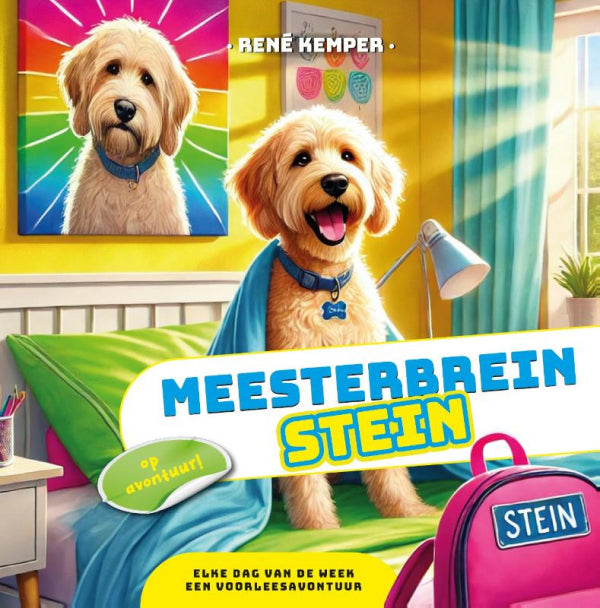 Meesterbrein-Stein-boek-cover-9789493407565