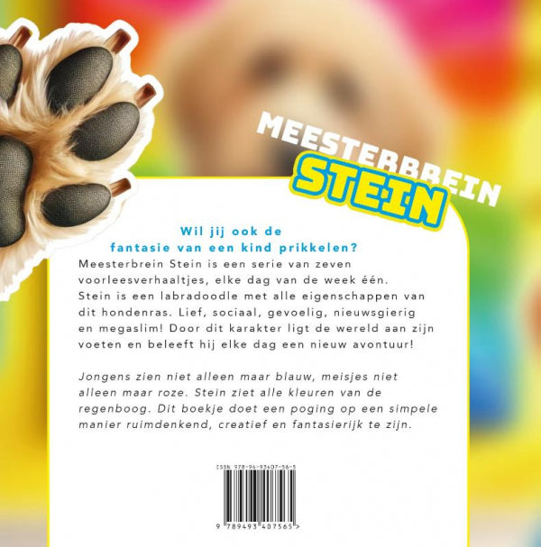 Meesterbrein-Stein-flaptekst-9789493407565