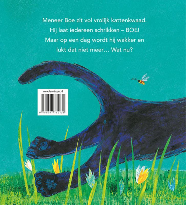 Meneer-boe-flaptekst-9789047712756