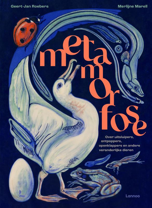 Metamorfose-boek-cover-9789401441735