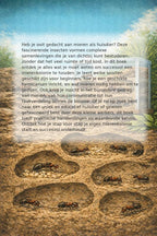 Mieren-Houden-als-Huisdier-flaptekst-9789465192321