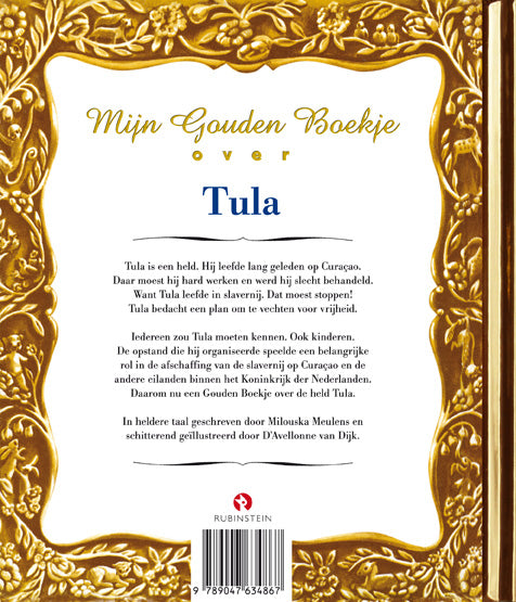 Mijn-Gouden-Boekje-over-Tula-flaptekst-9789047634867