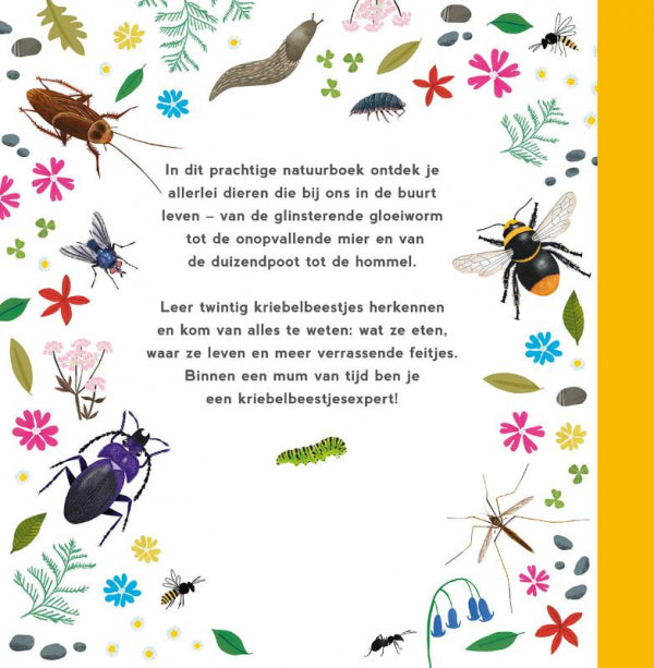 Mijn-eerste-kriebelbeestjesboek-flaptekst-9789047714323