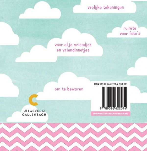 Mijn-gezellige-vriendenboek-flaptekst-9789026622014