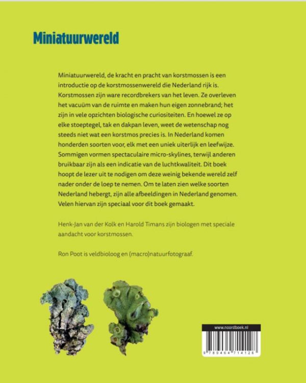 Miniatuurwereld-flaptekst-9789464714128
