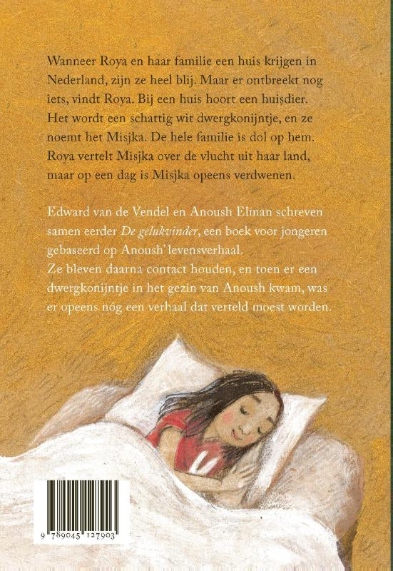 Misjka-flaptekst-9789045127903