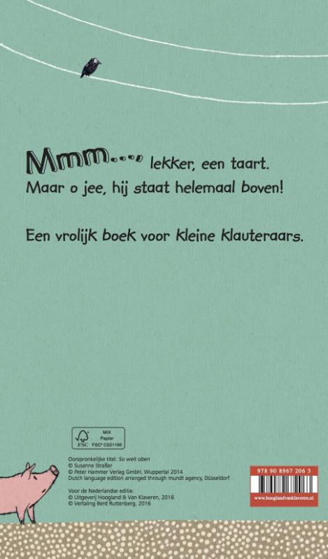 Mmm-een-taart-flaptekst-9789089672063