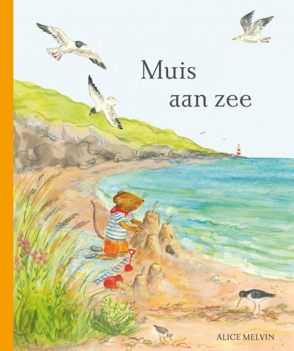 Muis-aan-zee-boek-cover-9789062389575