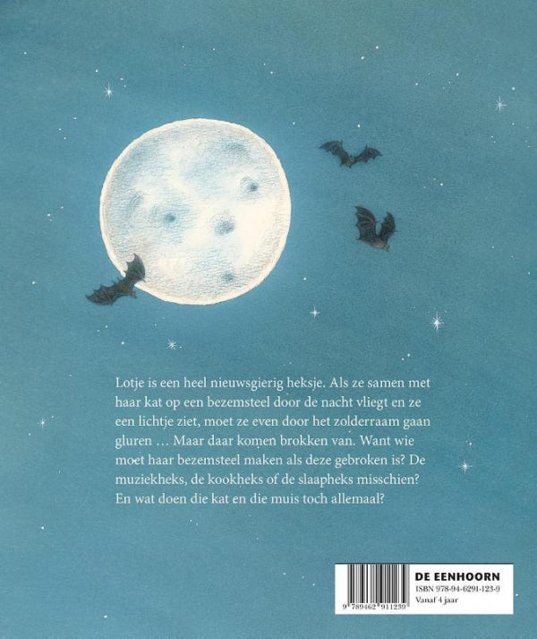 Nieuwsgierige-Lotje-flaptekst-9789462911239