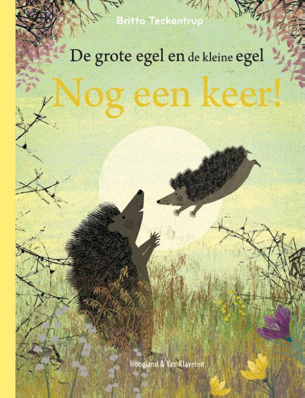 Nog-een-keer-boek-cover-9789089674371