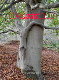 OORLOGSTIJD-boek-cover-9789403906386