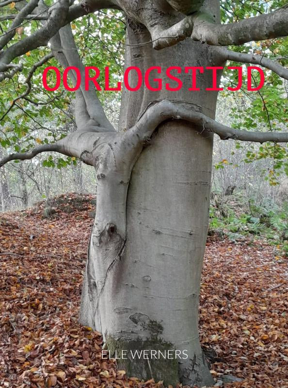 OORLOGSTIJD-boek-cover-9789403906386