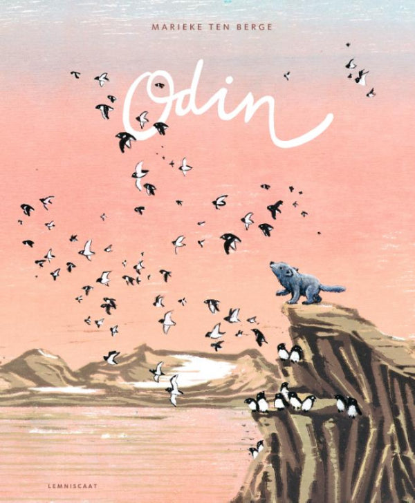 Odin-boek-cover-9789047717515