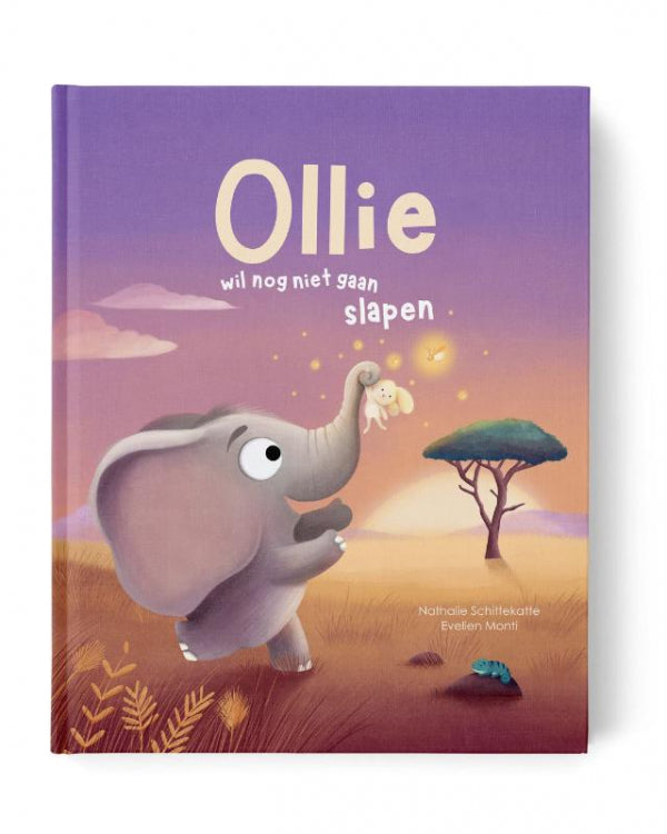 Ollie-wil-nog-niet-gaan-slapen-boek-cover-9789083570204