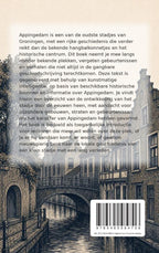 Onbekend-Appingedam-flaptekst-9789465584706